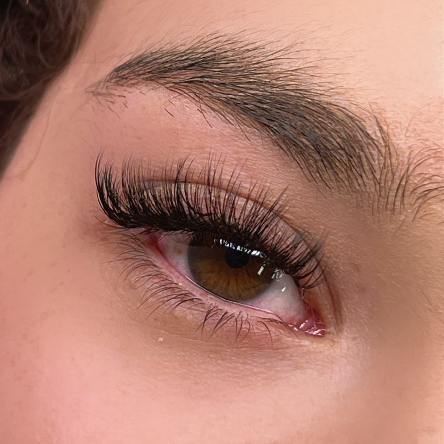 Close-up of a finished lash set